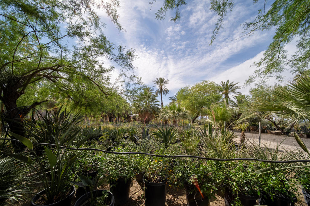 66790 Martinez Road Property Photo 80