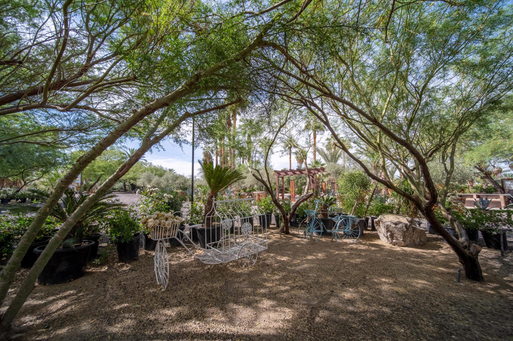 66790 Martinez Road Property Photo 91