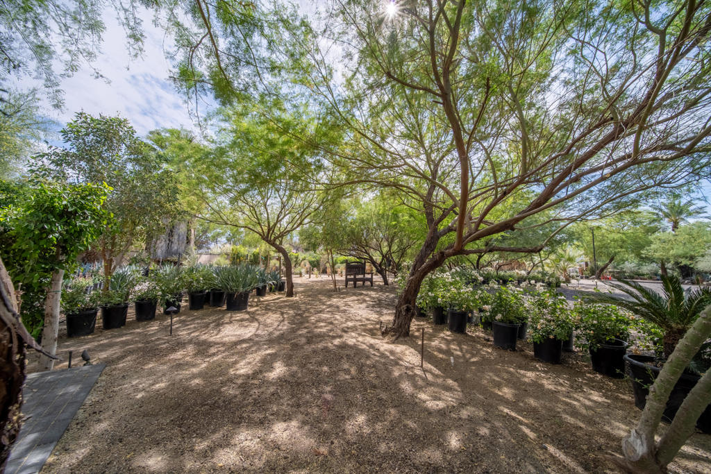 66790 Martinez Road Property Photo 92