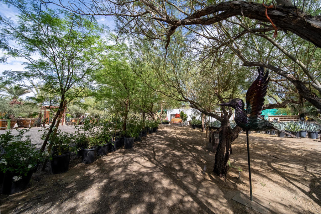 66790 Martinez Road Property Photo 93