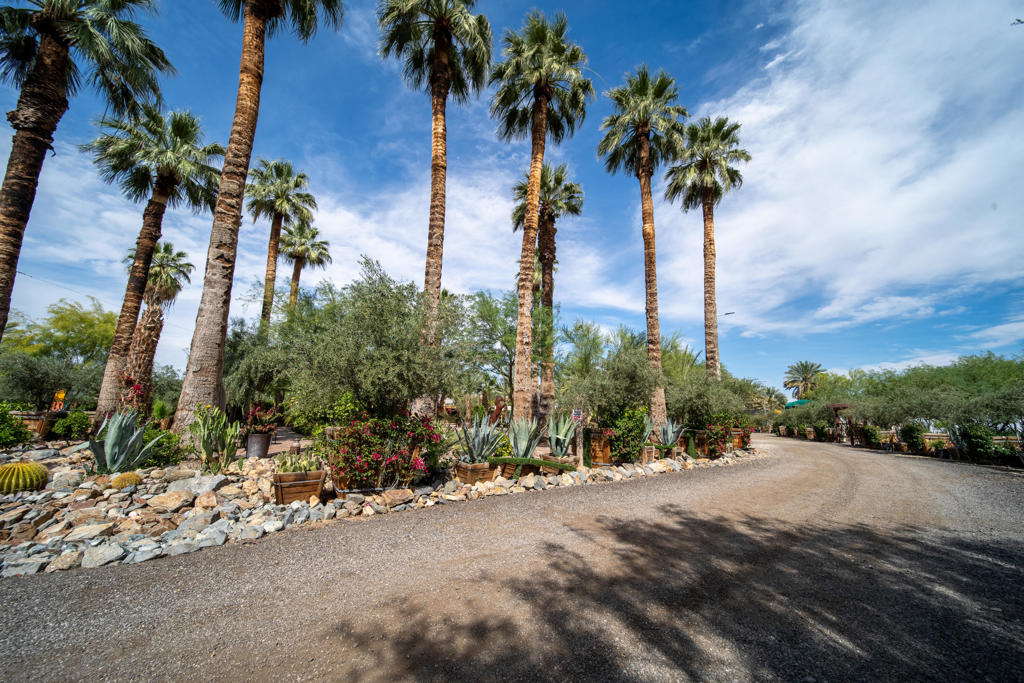 66790 Martinez Road Property Photo 94