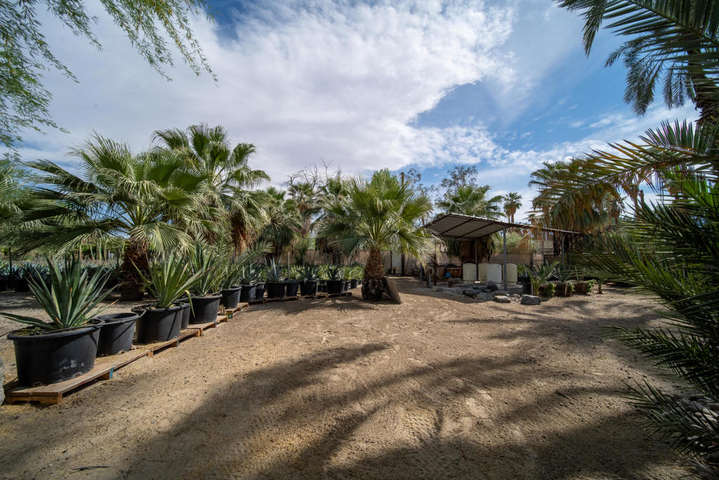 66790 Martinez Road Property Photo 96