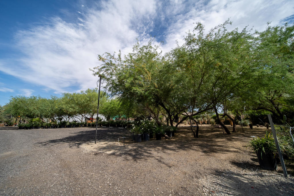 66790 Martinez Road Property Photo 100
