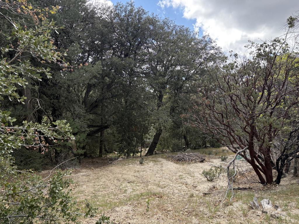 0 Schaffer Drive Property Photo 1