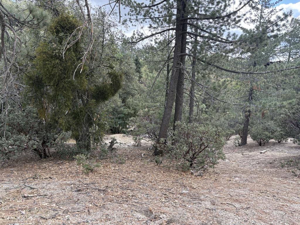 0 Schaffer Drive Property Photo 3