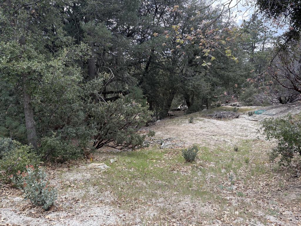 0 Schaffer Drive Property Photo 4