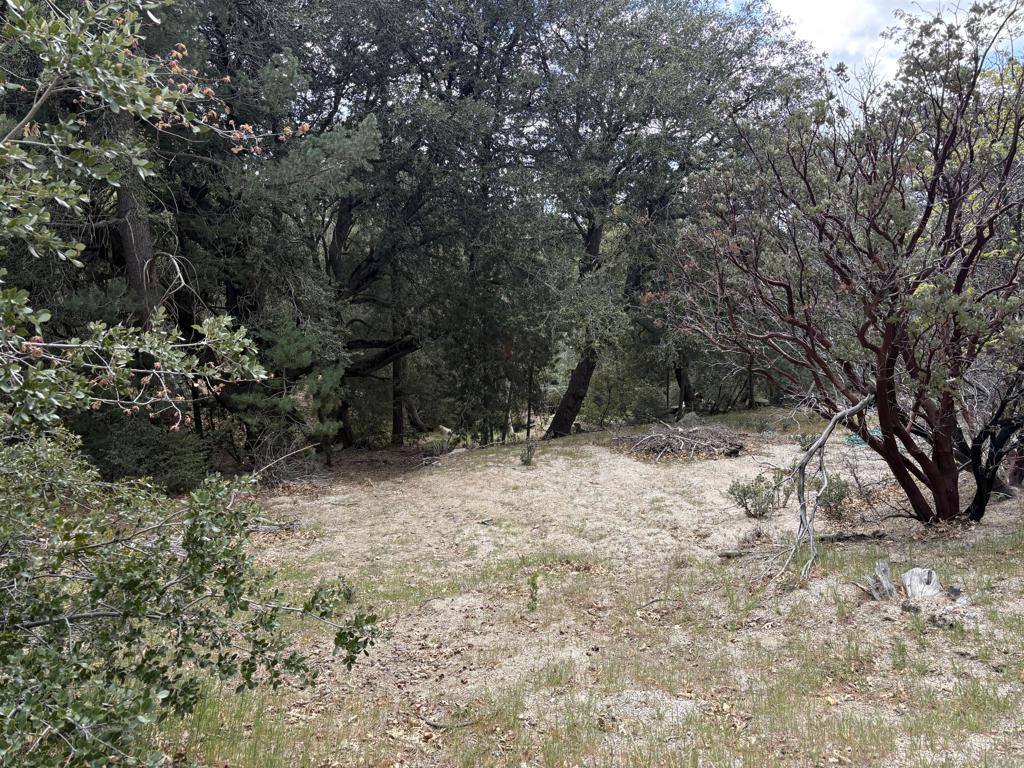 0 Schaffer Drive Property Photo 6