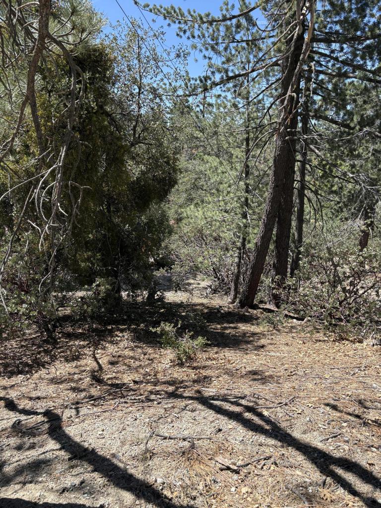 0 Schaffer Drive Property Photo 7
