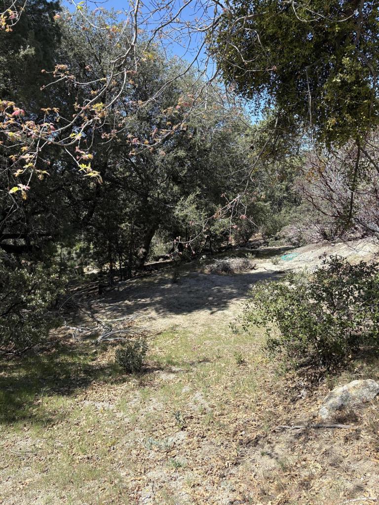 0 Schaffer Drive Property Photo 11