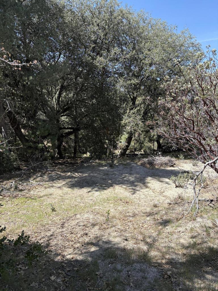 0 Schaffer Drive Property Photo 12