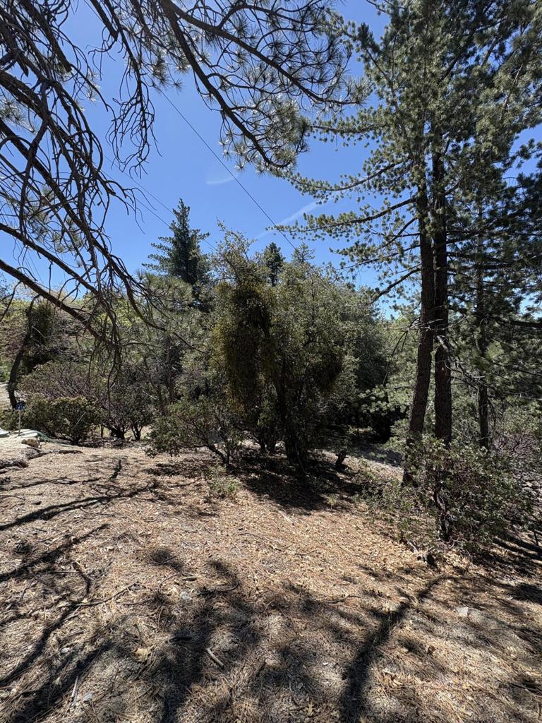 0 Schaffer Drive Property Photo 14