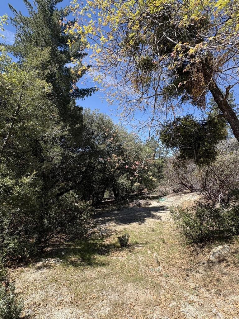 0 Schaffer Drive Property Photo 15