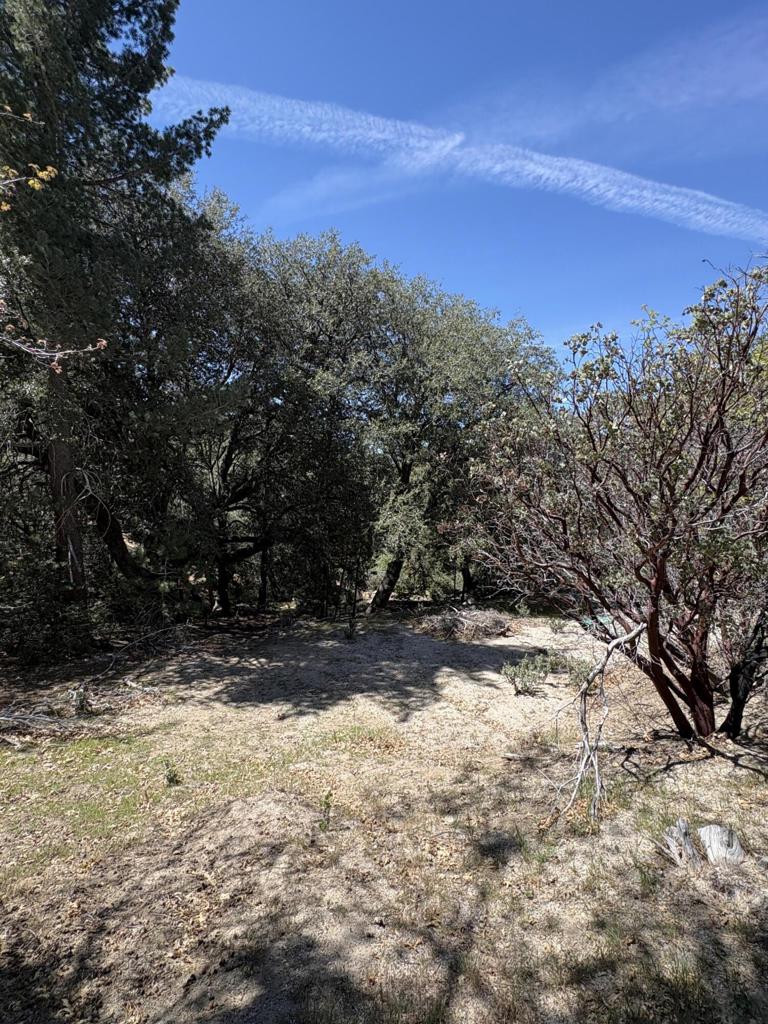 0 Schaffer Drive Property Photo 16