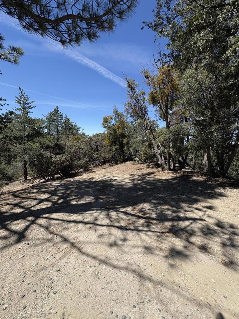 0 Schaffer Drive Property Photo 17