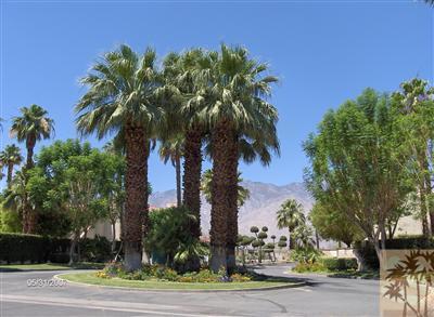 32505 Candlewood Drive 27 Property Photo 1