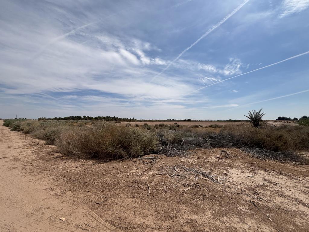 0 Sweet Road Property Photo 3
