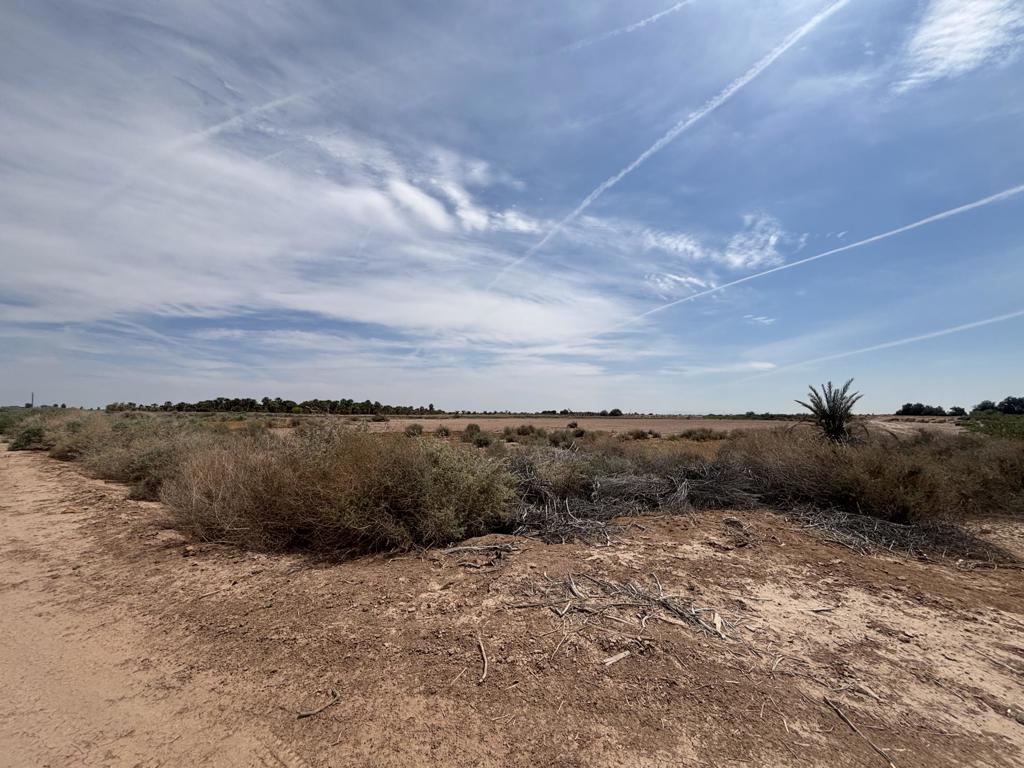 0 Sweet Road Property Photo 7