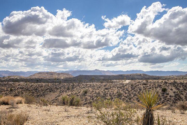 57352 Sunflower Drive Property Photo 1