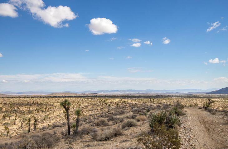57352 Sunflower Drive Property Photo 3