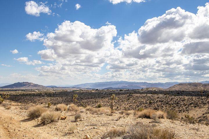 57352 Sunflower Drive Property Photo 4