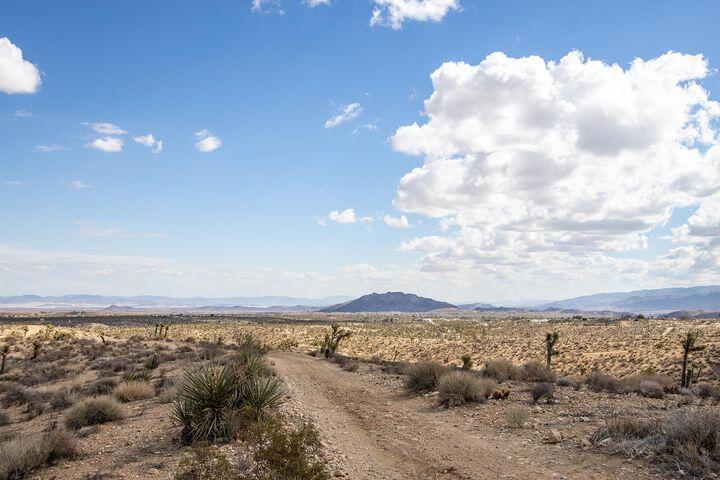 57352 Sunflower Drive Property Photo 9