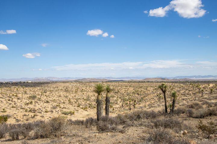 57352 Sunflower Drive Property Photo 10