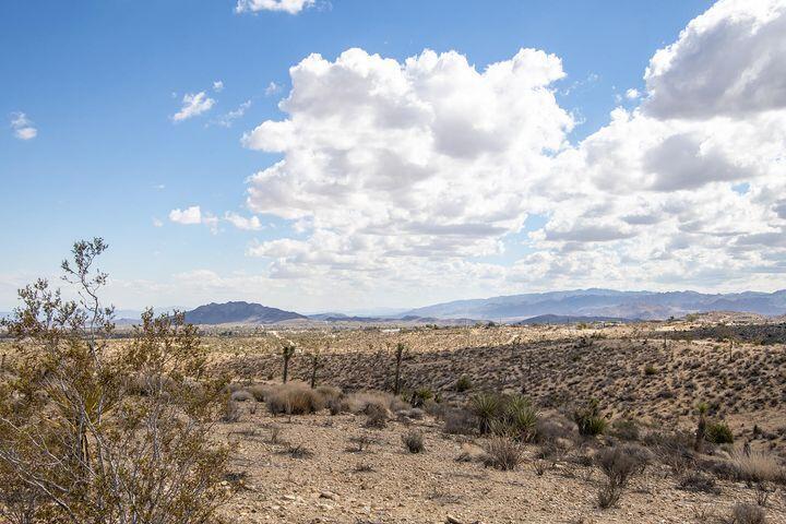 57352 Sunflower Drive Property Photo 17