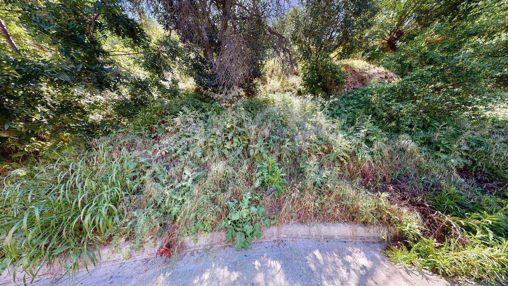 3810 Knobhill Drive Property Photo 3