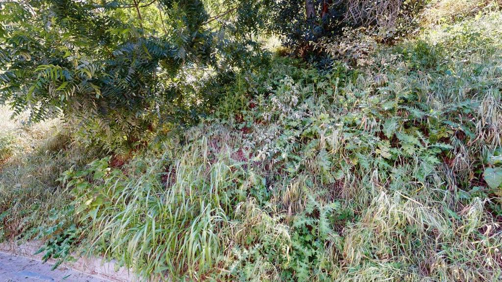 3810 Knobhill Drive Property Photo 8