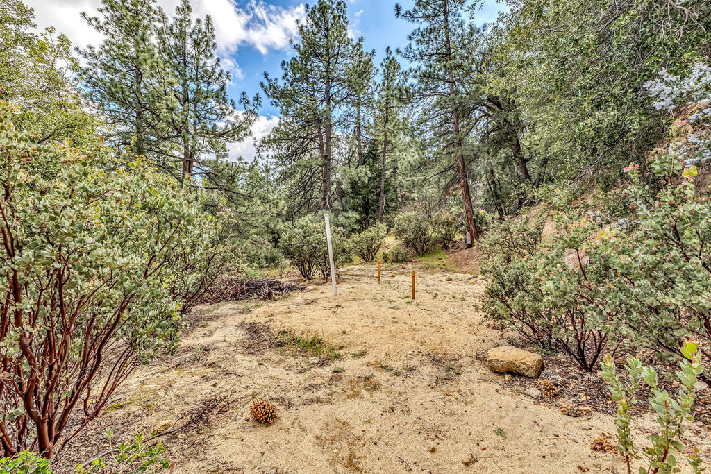 0 Lakeview Drive Property Photo 1