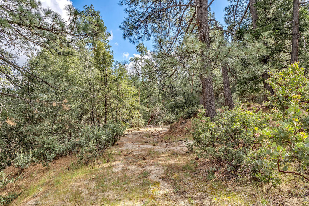 0 Lakeview Drive Property Photo 8