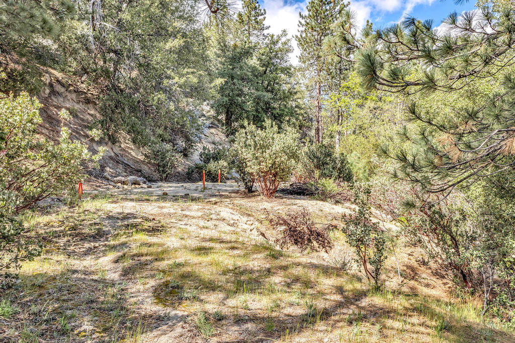 0 Lakeview Drive Property Photo 10