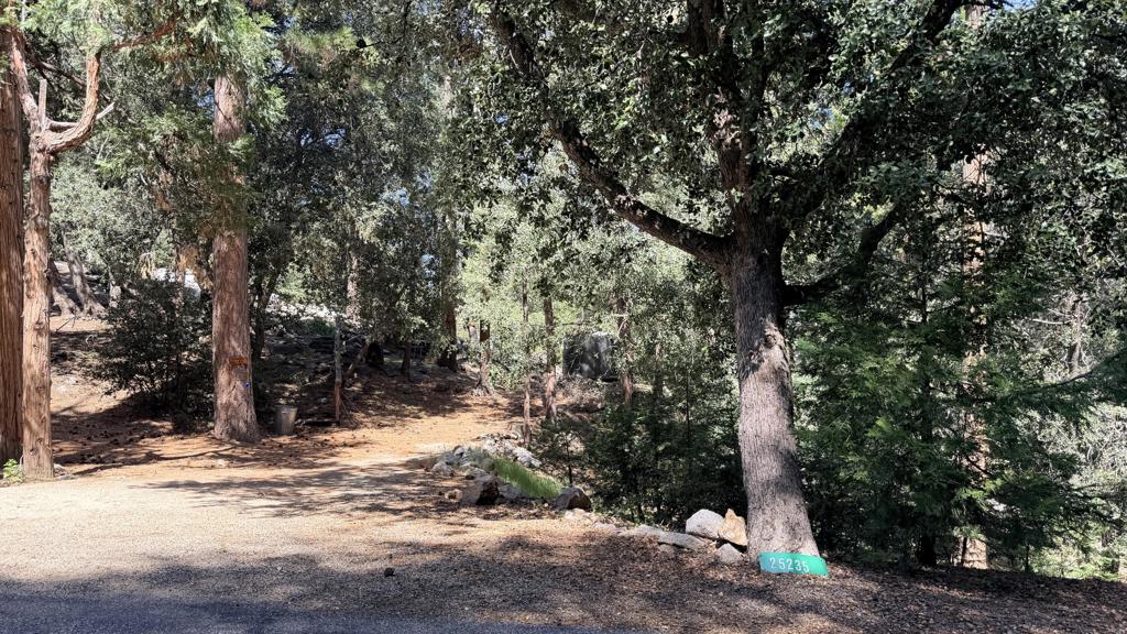 25235 Nestwa Trail Property Photo 1