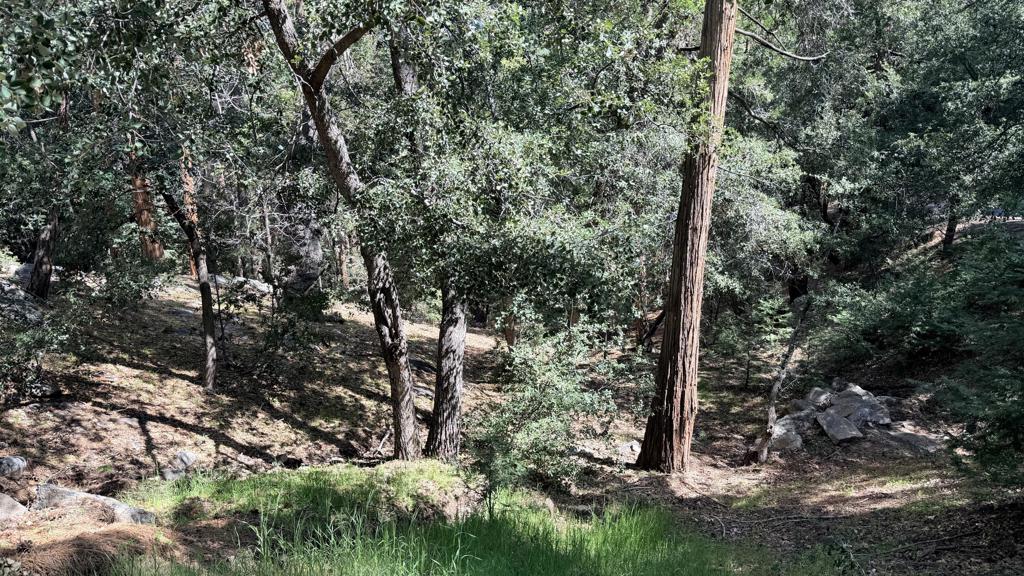 25235 Nestwa Trail Property Photo 2