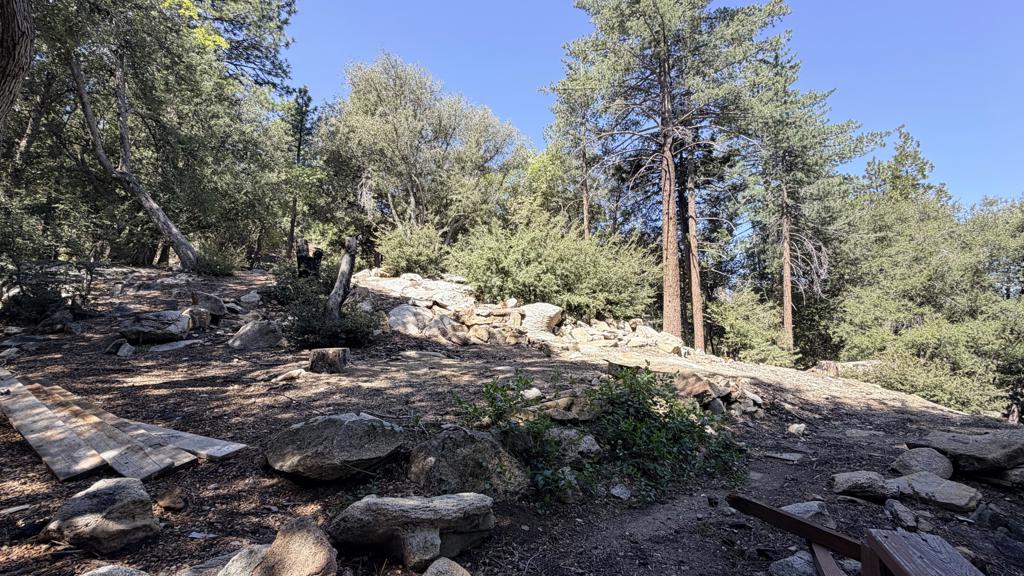 25235 Nestwa Trail Property Photo 4