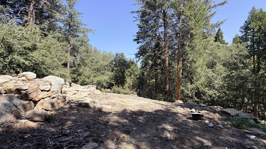 25235 Nestwa Trail Property Photo 5