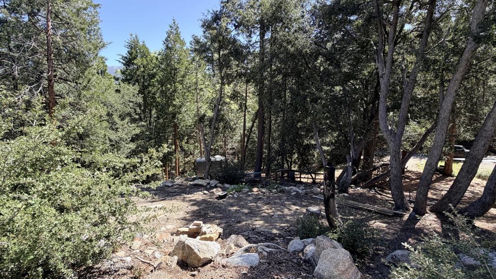 25235 Nestwa Trail Property Photo 6
