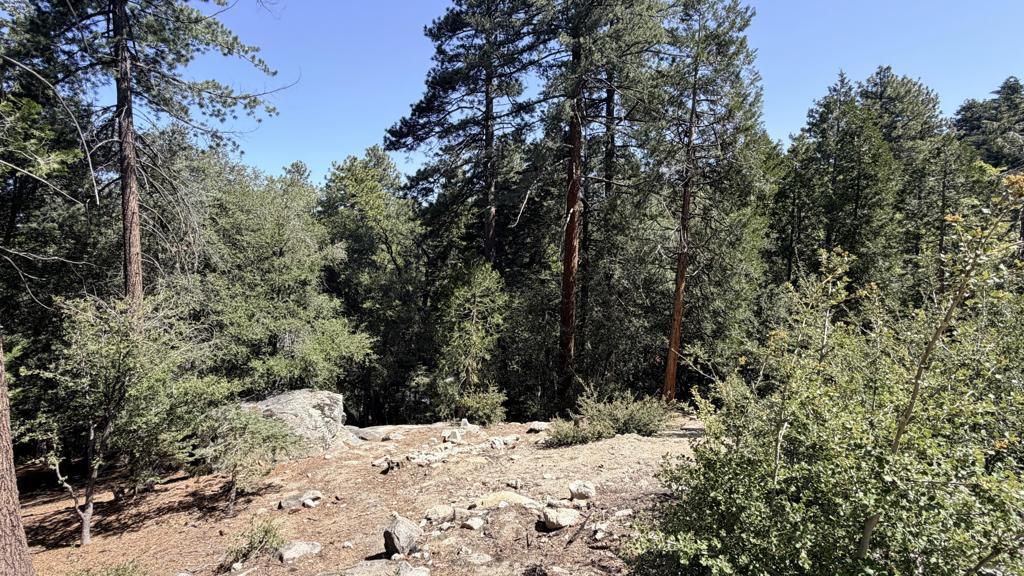 25235 Nestwa Trail Property Photo 7
