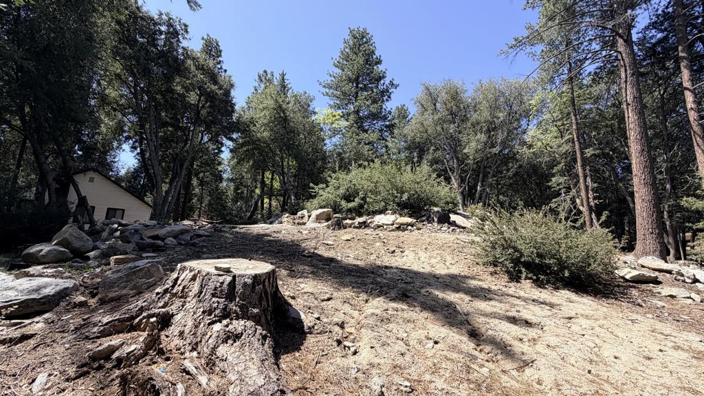 25235 Nestwa Trail Property Photo 10