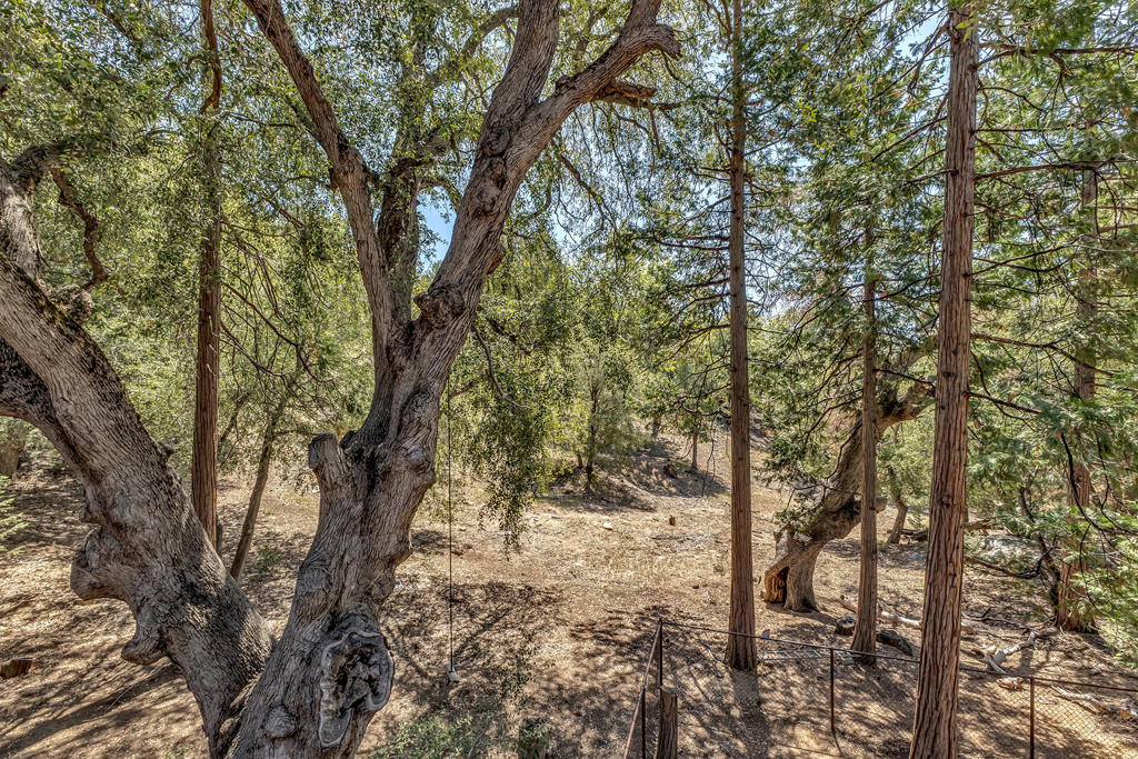 52381 Laurel Trail Property Photo 56