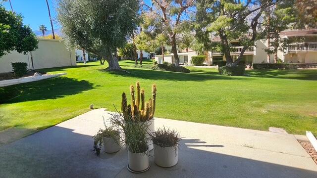 3447 Andreas Hills Drive Property Photo 6