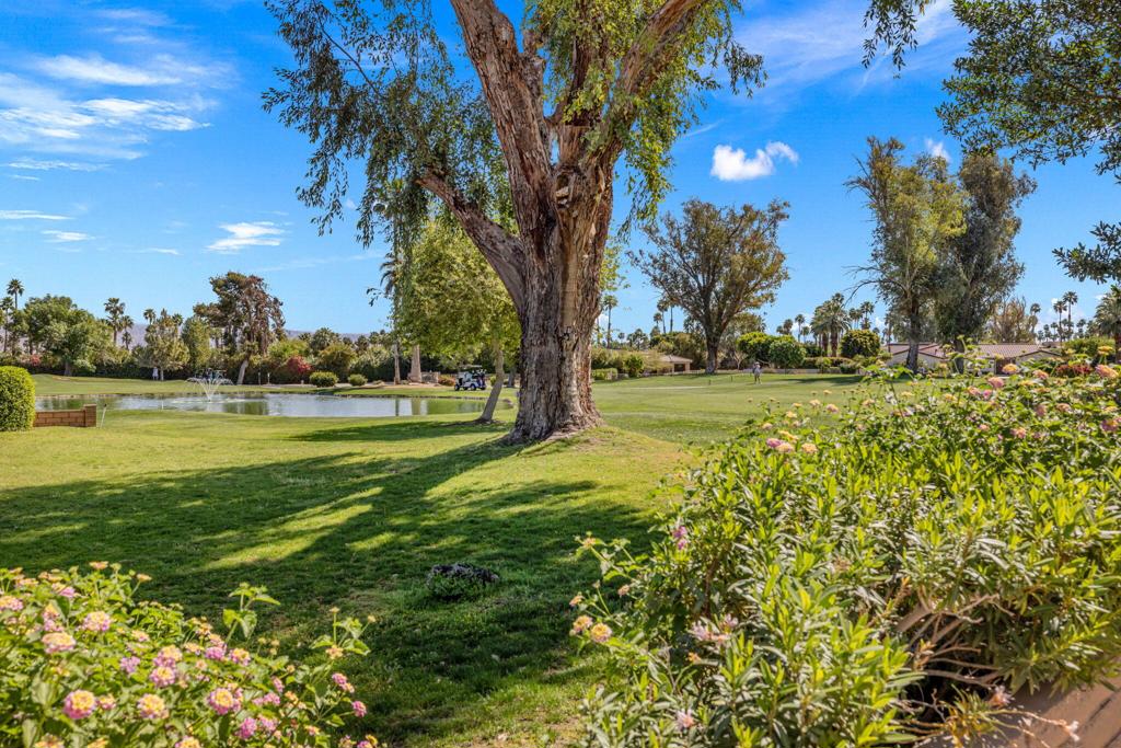 39080 Kilimanjaro Court Property Photo 16