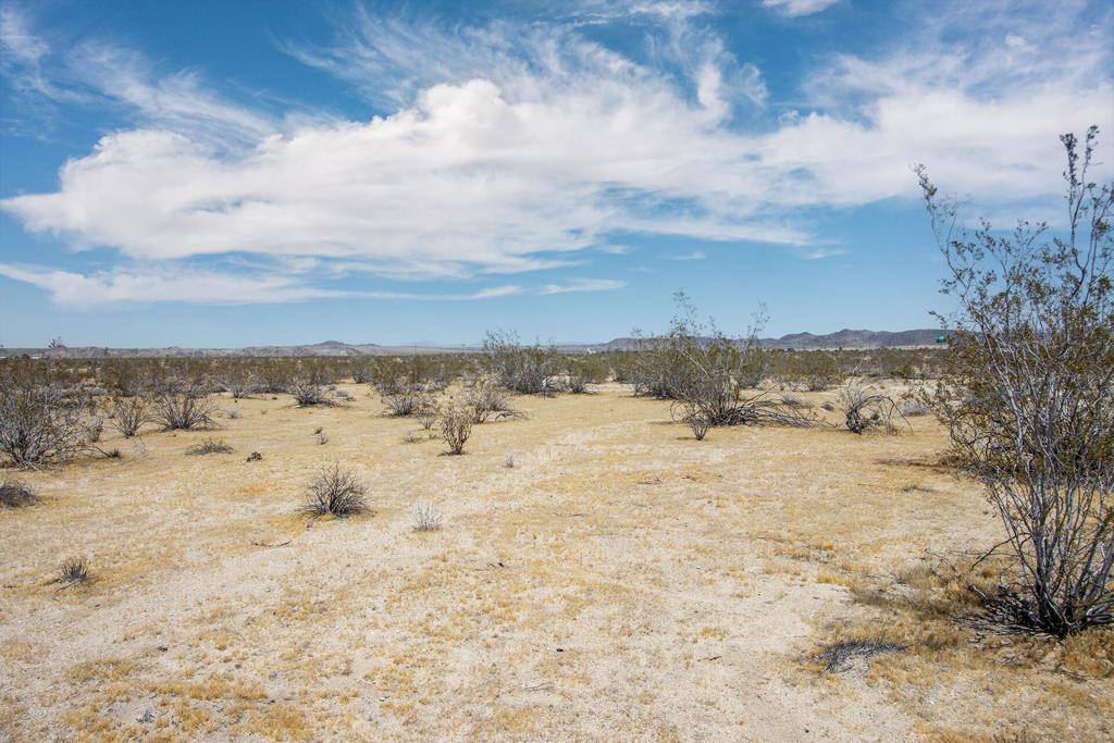 107 29 Palms Highway Property Photo 15