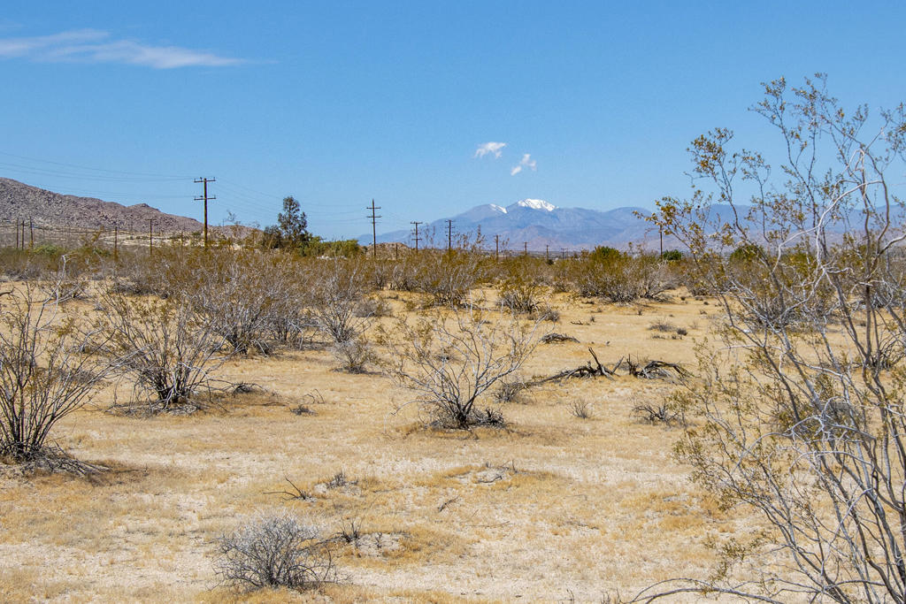 107 29 Palms Highway Property Photo 17
