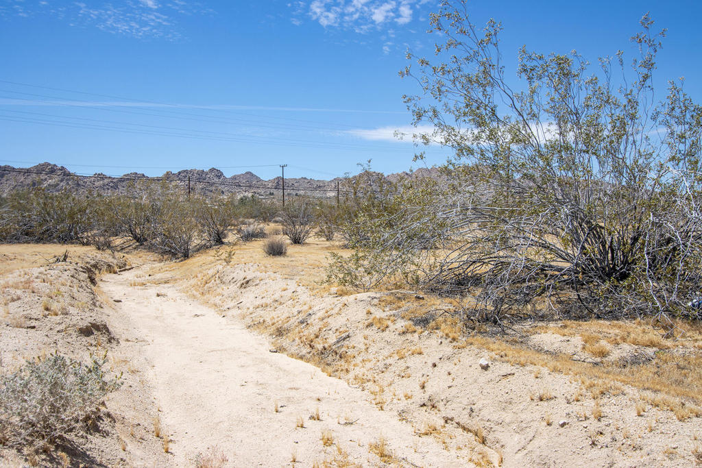 107 29 Palms Highway Property Photo 20