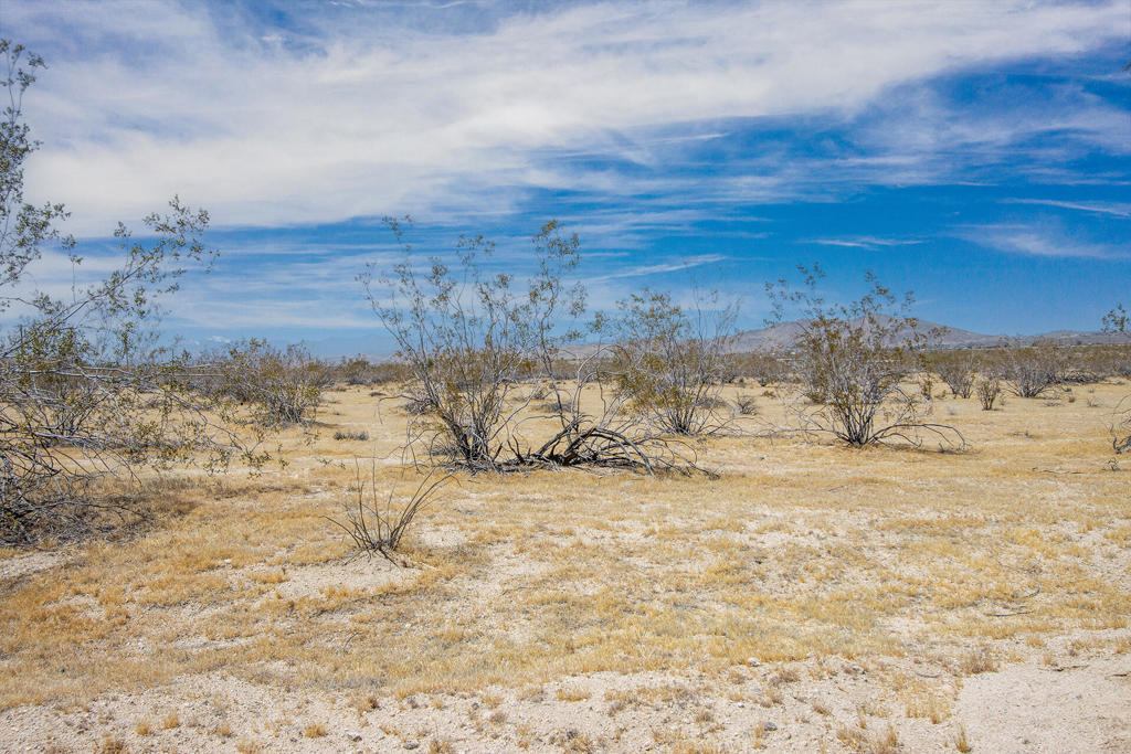 107 29 Palms Highway Property Photo 21