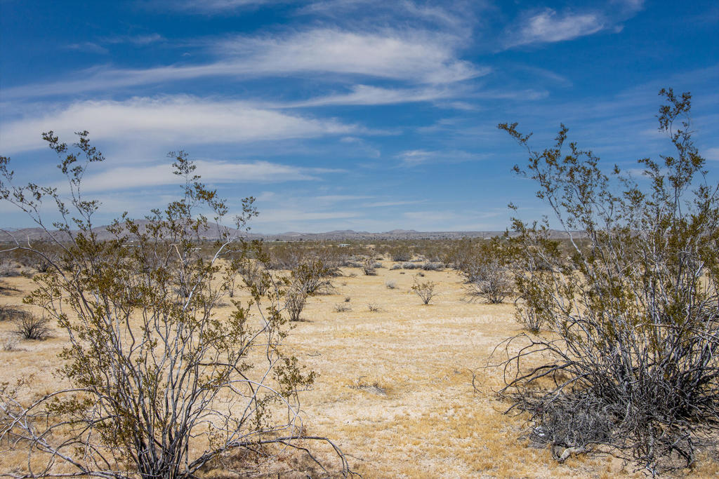 107 29 Palms Highway Property Photo 23