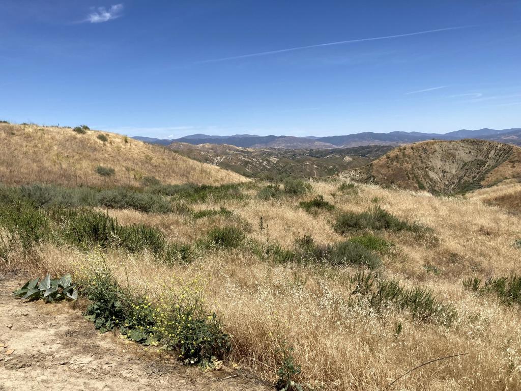 7003 Loma Verde Mountainway Property Photo 19