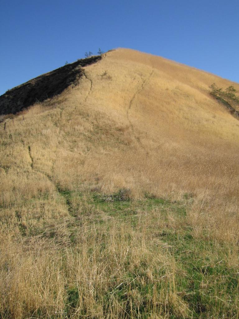7003 Loma Verde Mountainway Property Photo 24