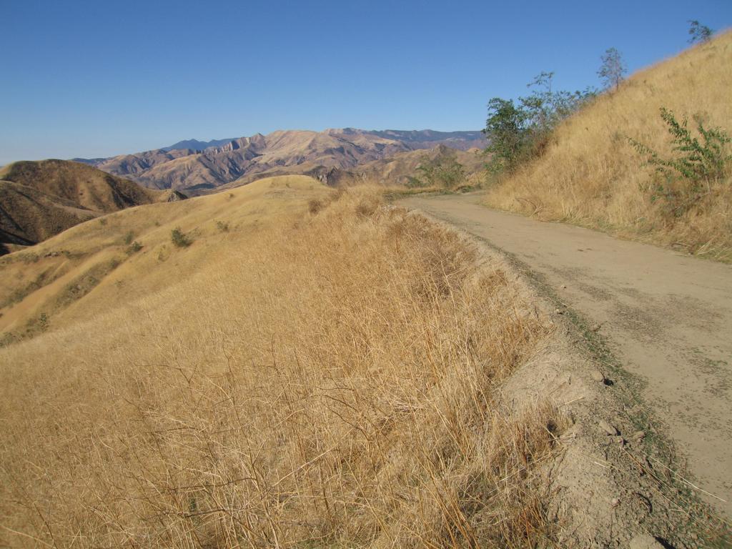 7003 Loma Verde Mountainway Property Photo 25
